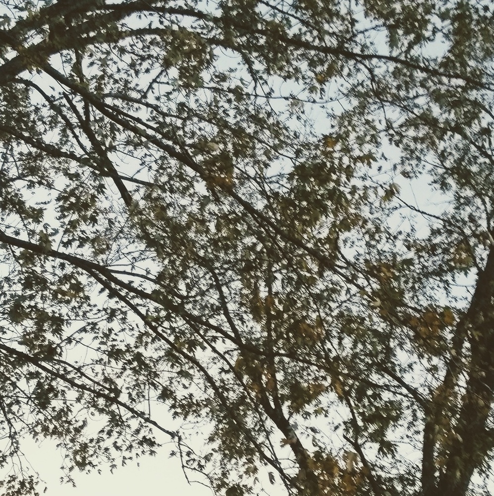 Meet your Posher, Ruko